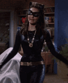 catwoman-well.gif