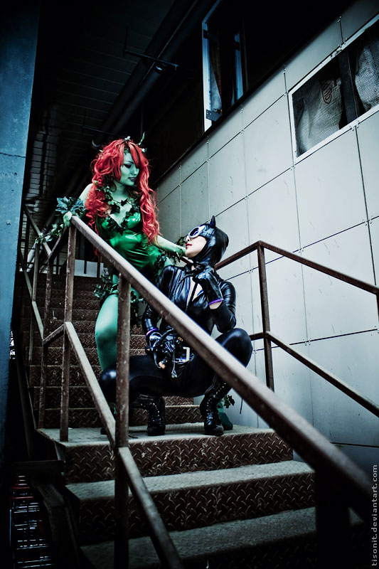 ivy_poison_and_catwoman_by_tisonit-d4ak79u.jpg