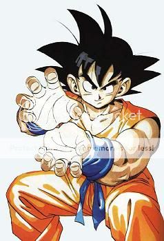 Goku-Hame-Kame-Picture-Copy.jpg