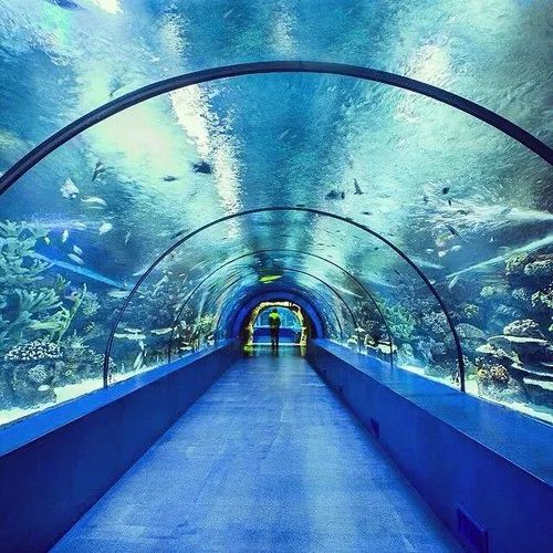 fish-aquarium-500x500.jpg